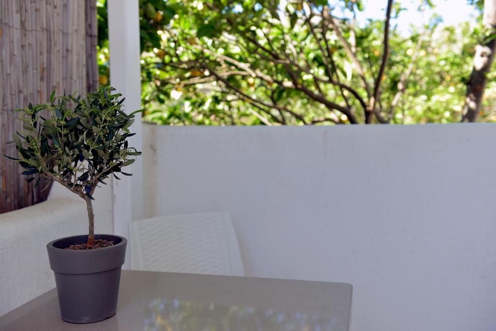 Flora'S Houses Mykonos Klouvas Zewnętrze zdjęcie